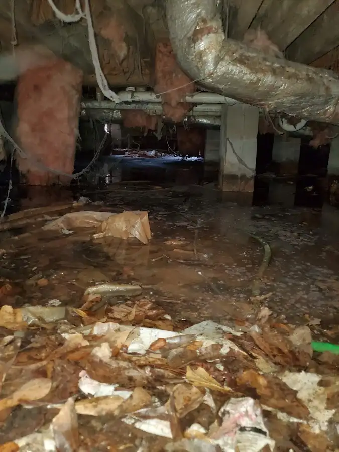 Crawl space flood assessment for Leak Detection & Repair in Baker City